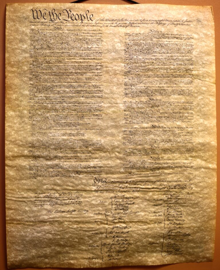 constitution 1 768x940