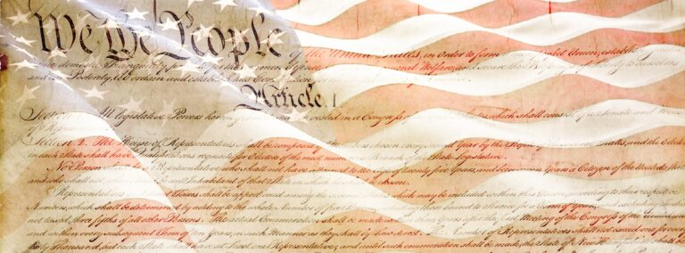 constitution 3 768x284