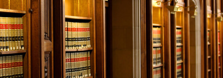 312981352 538104948323047 8310989662058661241 n 768x269